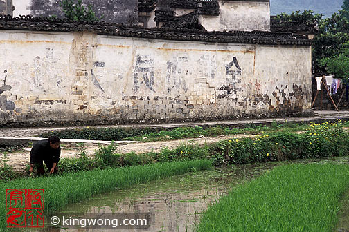 ´ Guanlu village