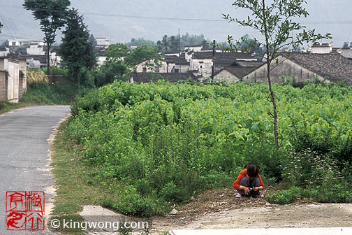 ´ Guanlu village