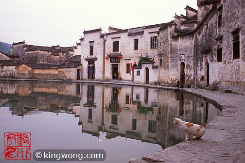宏村 - 月沼 Hongcun village - Yuezhao (Crescent Lake)