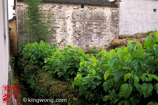  Hongcun Village