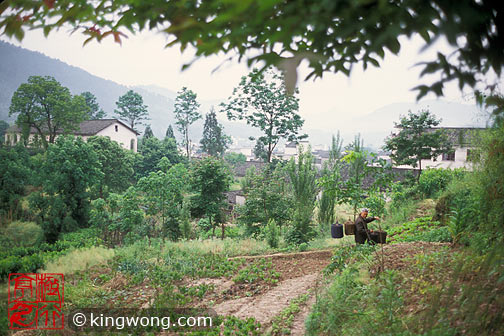  Hongcun Village