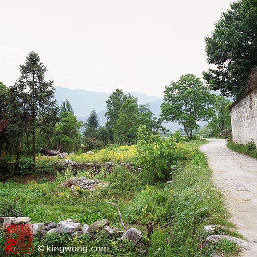  Hongcun Village