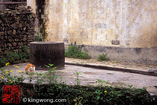  Nanping village