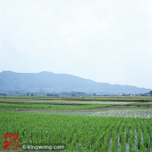  Nanping village