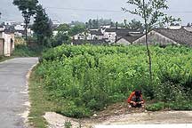 Picture of ´ Guanlu village