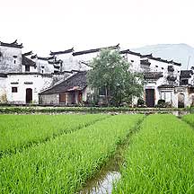 Picture of ´ Guanlu village