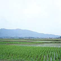 Picture of  Nanping village