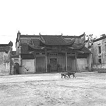 Nanping village,Nanping