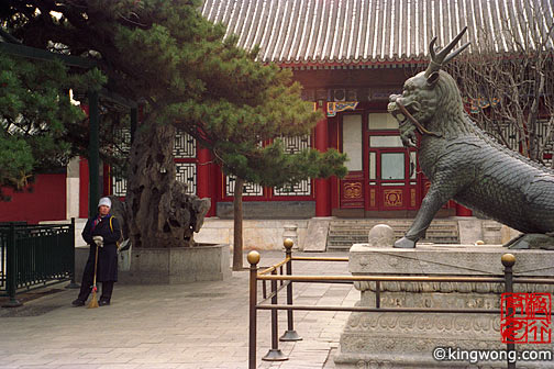 ʹ (Ͻ) Gugong ( Palace Museum )