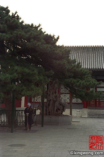 故宫 (紫禁城) Gugong ( Palace Museum )