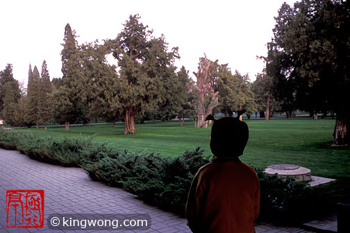 ̳԰ Tiantan (Temple of Heaven) Park