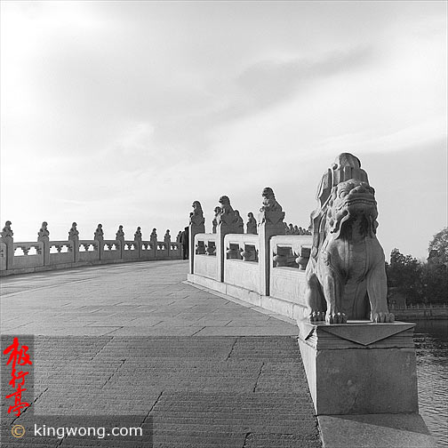 十七孔桥,石狮子 Seventeen-arch Bridge,stone lions