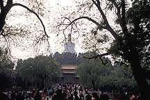 Picture of 北京市 --  北海公园 Beijing City --  Beihai (North Lake)  Park