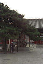 Picture of ʹ (Ͻ) Gugong ( Palace Museum )