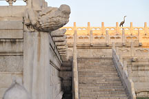 Picture of ʹ (Ͻ) Gugong (Forbidden City)