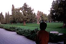 Tiantan (Temple of Heaven) Park,Tiantan