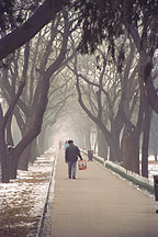 Tiantan ( Temple of Heaven ),Tiantan