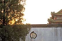 Picture of ǽ Garden wall