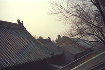 Picture of 颐和园 Yiheyuan - Rooftops