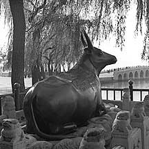 Bronze Bull,Yiheyuan