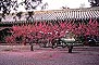 ̳԰ --  Tiantan (Temple of Heaven) Park -- Tree