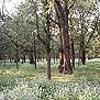 ̳԰ --  Tiantan (Temple of Heaven) Park