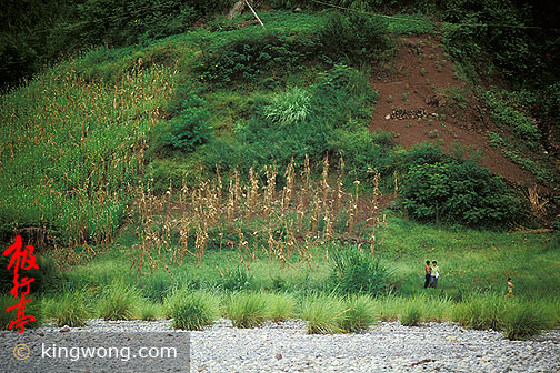  Yangzi River Area