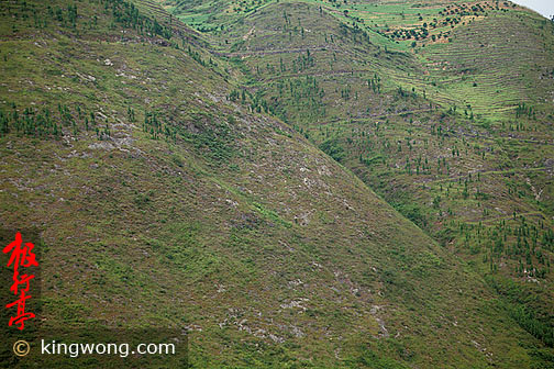  Yangzi River Area