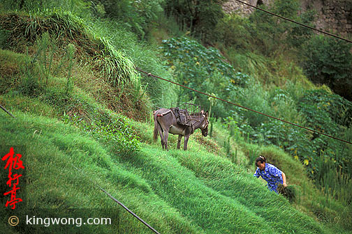  Yangzi River Area