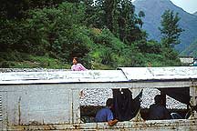 Yangzi River Area,Three Gorges