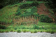 Yangzi River Area,Three Gorges