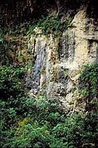 Yangzi River Area,Three Gorges