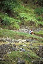 Yangzi River Area,Three Gorges