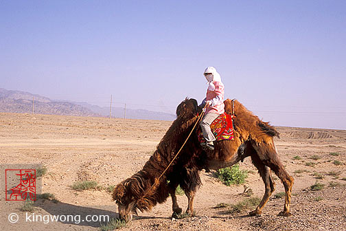  - Ů Jiayuguan (Jiayu Pass) -  Camel and Woman