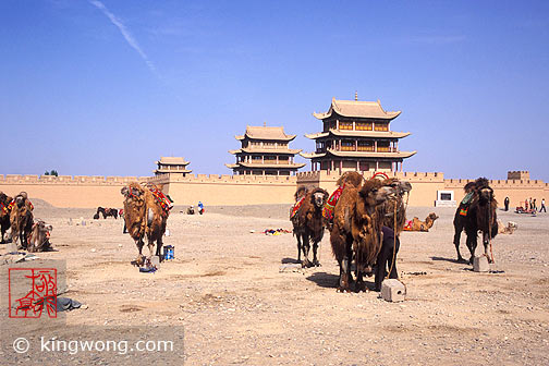 嘉峪关 - 骆驼,马 Jiayuguan (Jiayu Pass) - Camels and Horses