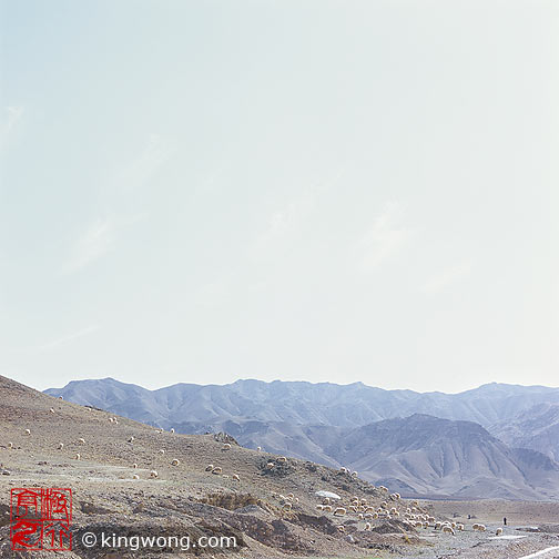 ؿڳ Sanguankou Great Wall - sheeps