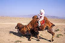 Jiayuguan (Jiayu Pass) -  Camel and Woman,Jiayuguan