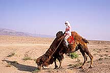 Jiayuguan (Jiayu Pass) -  Camel and Woman,Jiayuguan