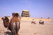 Jiayuguan (Jiayu Pass) - Camels and Horses,Jiayuguan