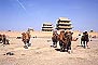  - , Jiayuguan (Jiayu Pass) - Camels and Horses