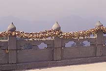 Picture of 䵱ɽ -  Wudangshan ( Wudang Mountains ) - Locks