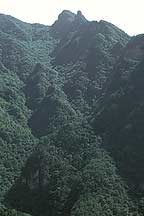 Picture of 䵱ɽ Wudangshan ( Wudang Mountains )