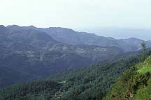 Picture of 䵱ɽ Wudangshan ( Wudang Mountains )