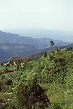 Picture of 䵱ɽ Wudangshan ( Wudang Mountains )