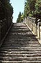 䵱ɽ Wudangshan ( Wudang Mountains )