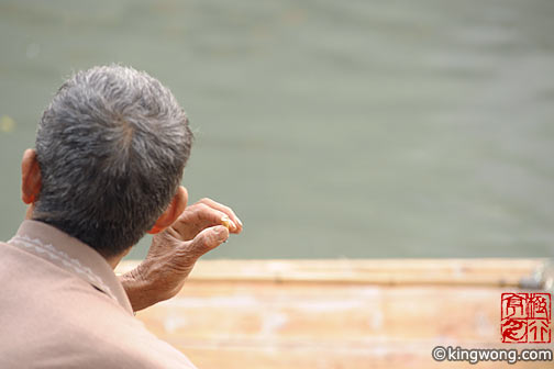凤凰 Feng Huang