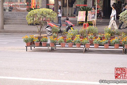 凤凰 Feng Huang