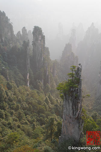 ɽ Tianzishan (Tianzi Mountains)