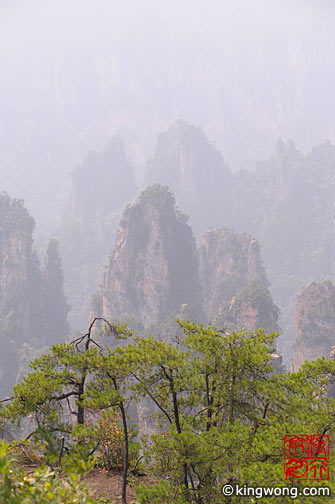 ɽ Tianzishan (Tianzi Mountains)