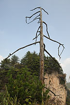 Tianzishan (Tianzi Mountains),Tianzishan